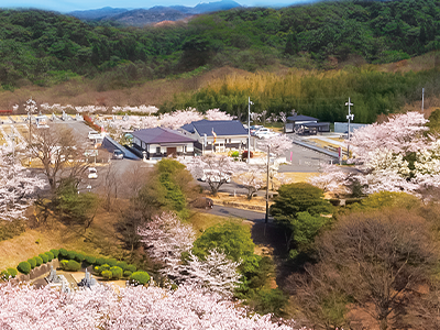 倉敷さくら離宮1